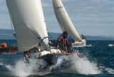 sheevra gbr2421 ss12 sun 11428